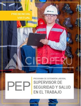 Supervisor de Seguridad y  Salud en el Trabajo