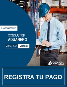 PEP Consultor Aduanero