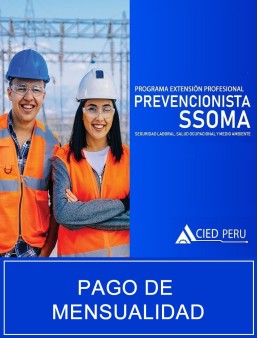 PEL Prevencionista SSOMA - MENSUALIDAD