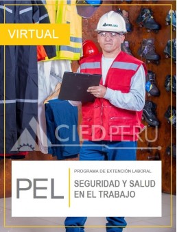 PEL Seguridad y Salud en el Trabajo