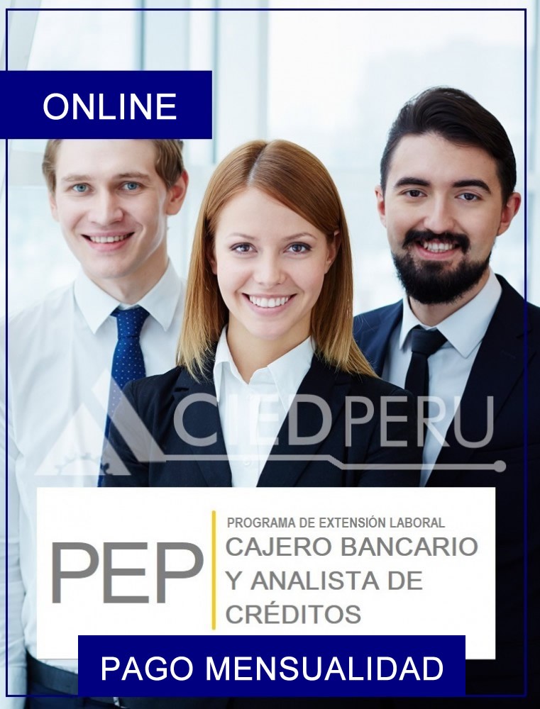 Cajero Bancario Y Analista de Créditos ONLINE