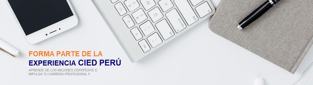 Experiencia CIEDPERU